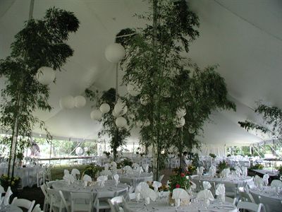 table chair tent rentals